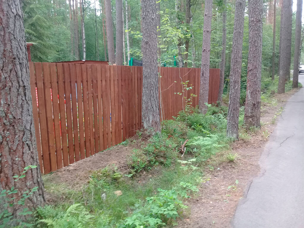 штакетный забор из дерева для участка в лесном массиве