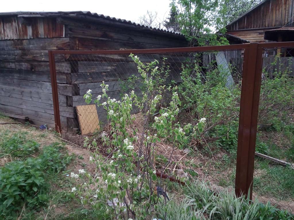 сетчатое ограждение из рабицы для дачи